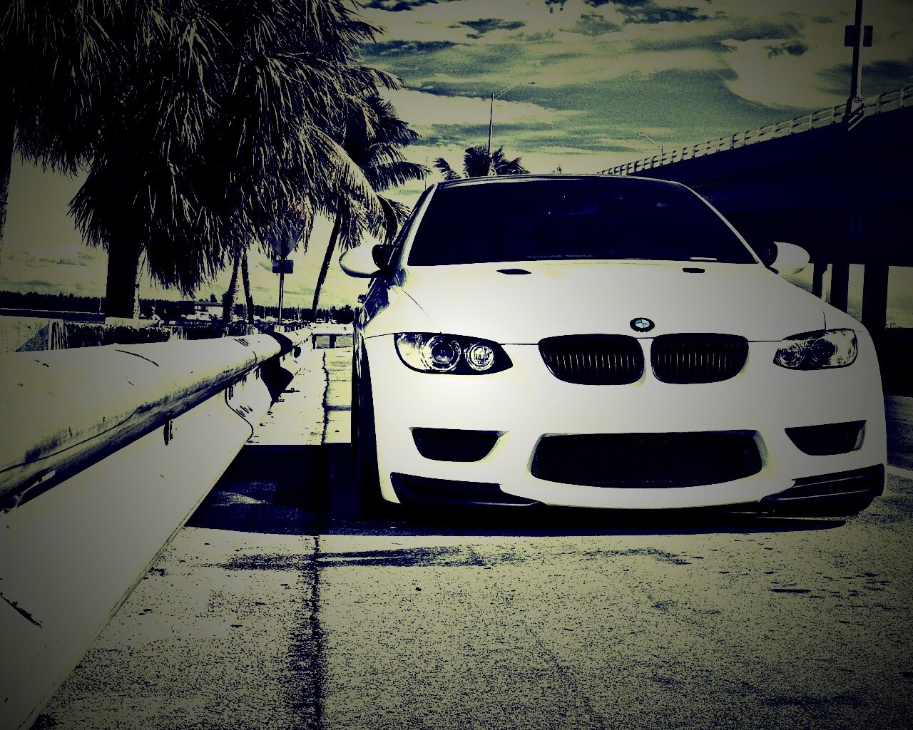 BMW в тропиках обои