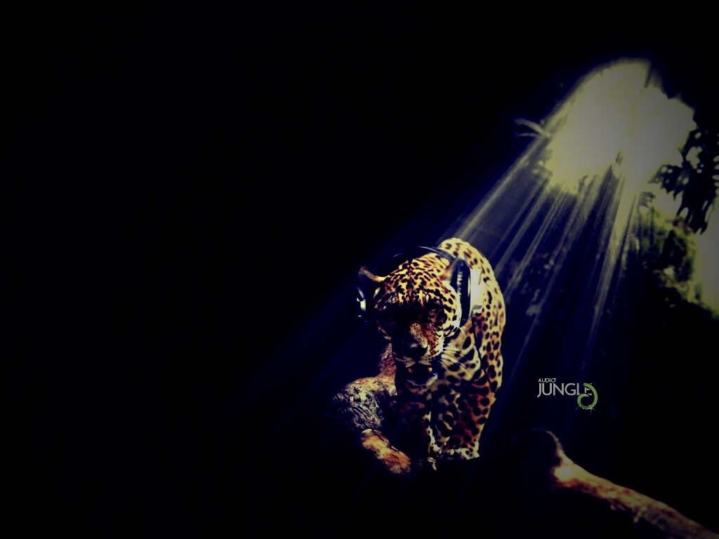 Ягуар в наушниках обои