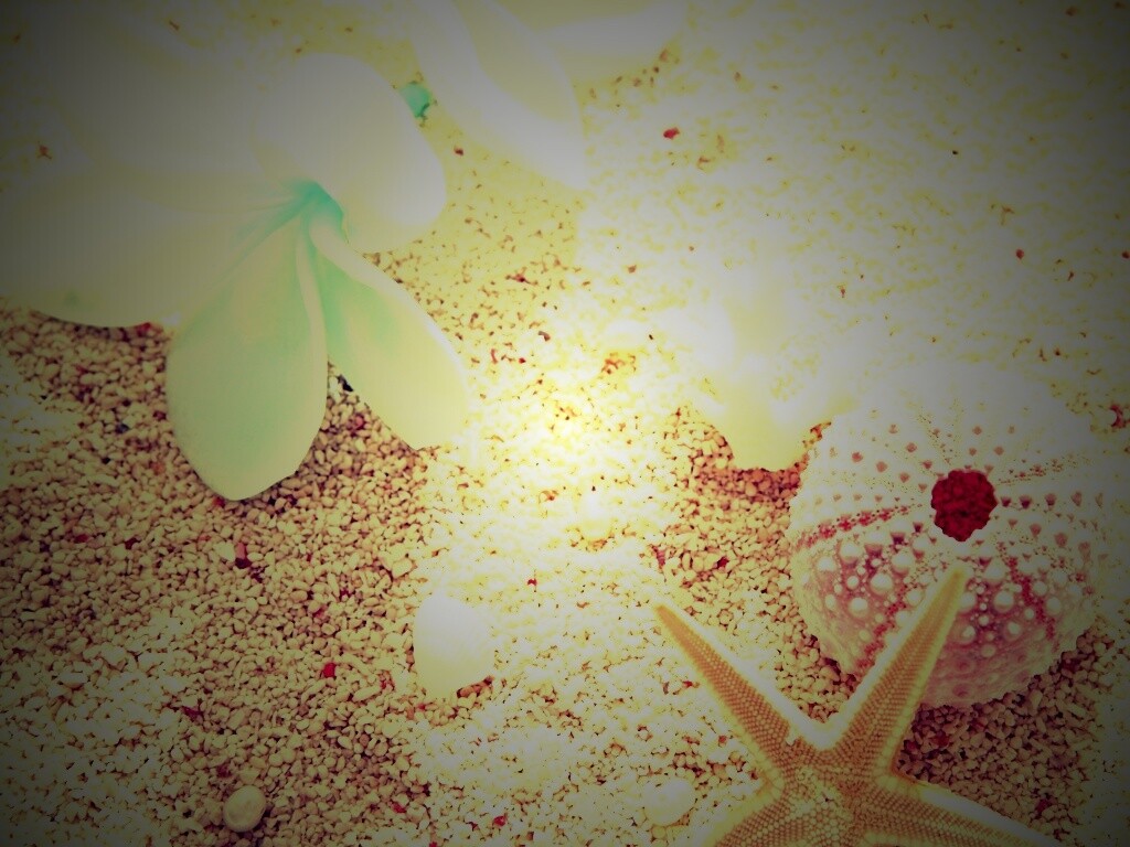 Пляж обои