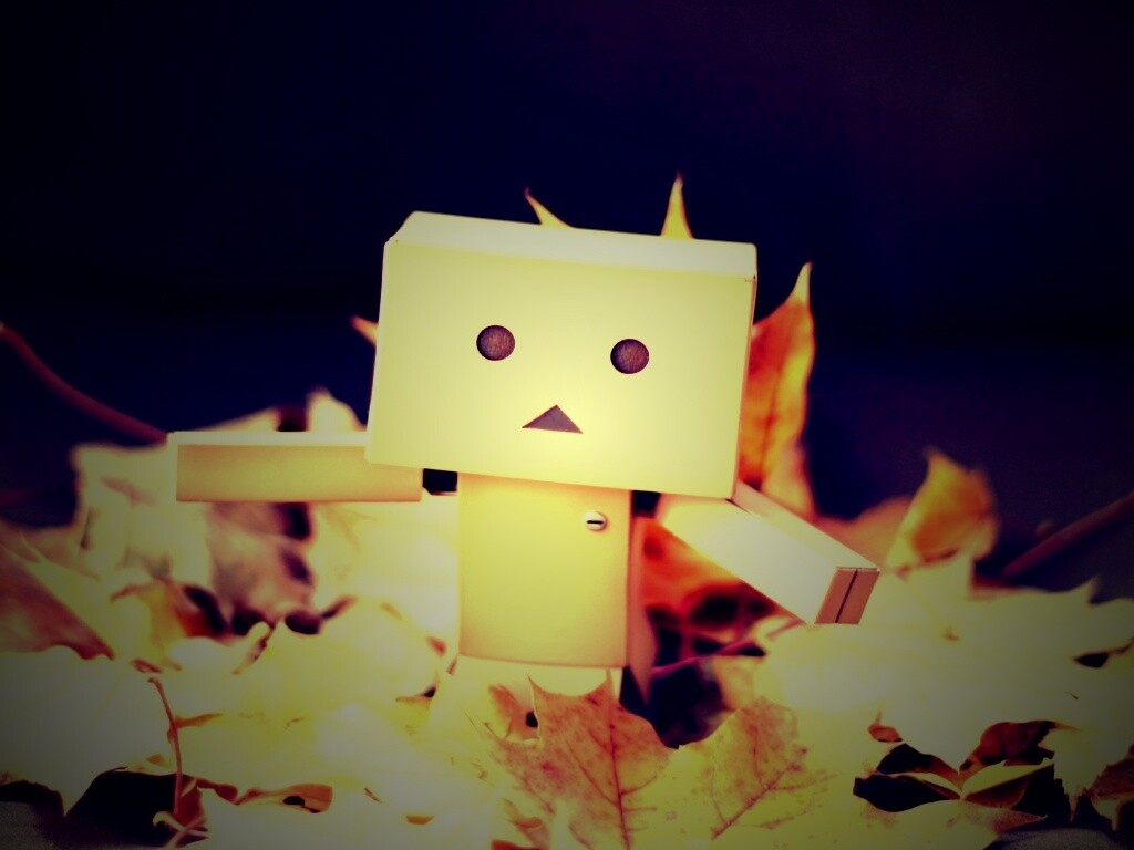  Yotsubato Danbo резвится листьях обои