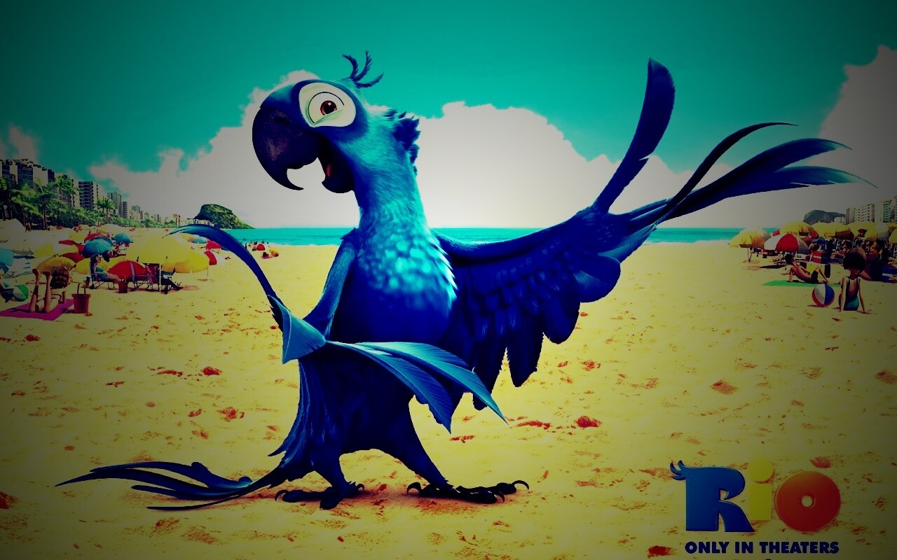 Blu из Rio обои