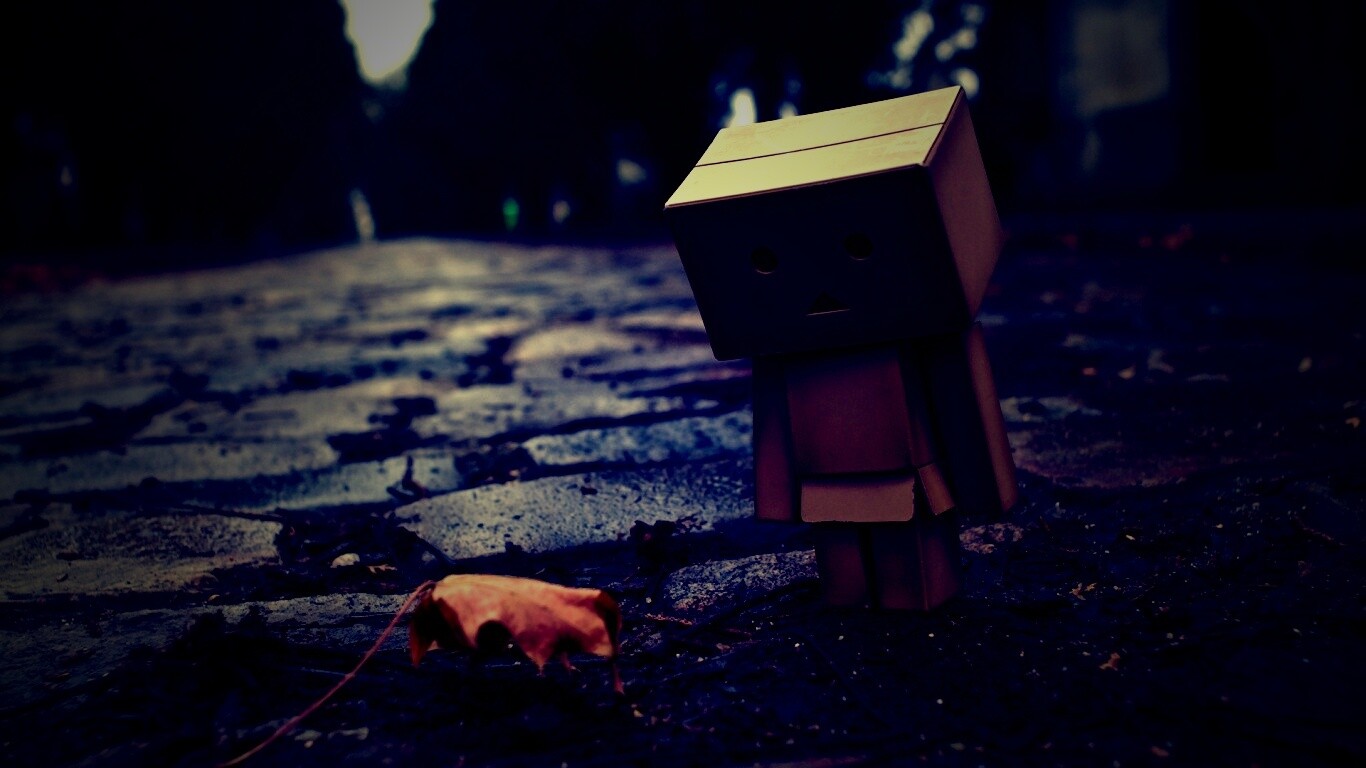 Danbo и первый осенний лист обои