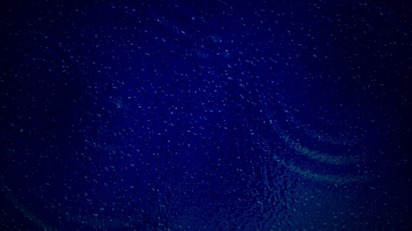 Рябь и круги на воде обои