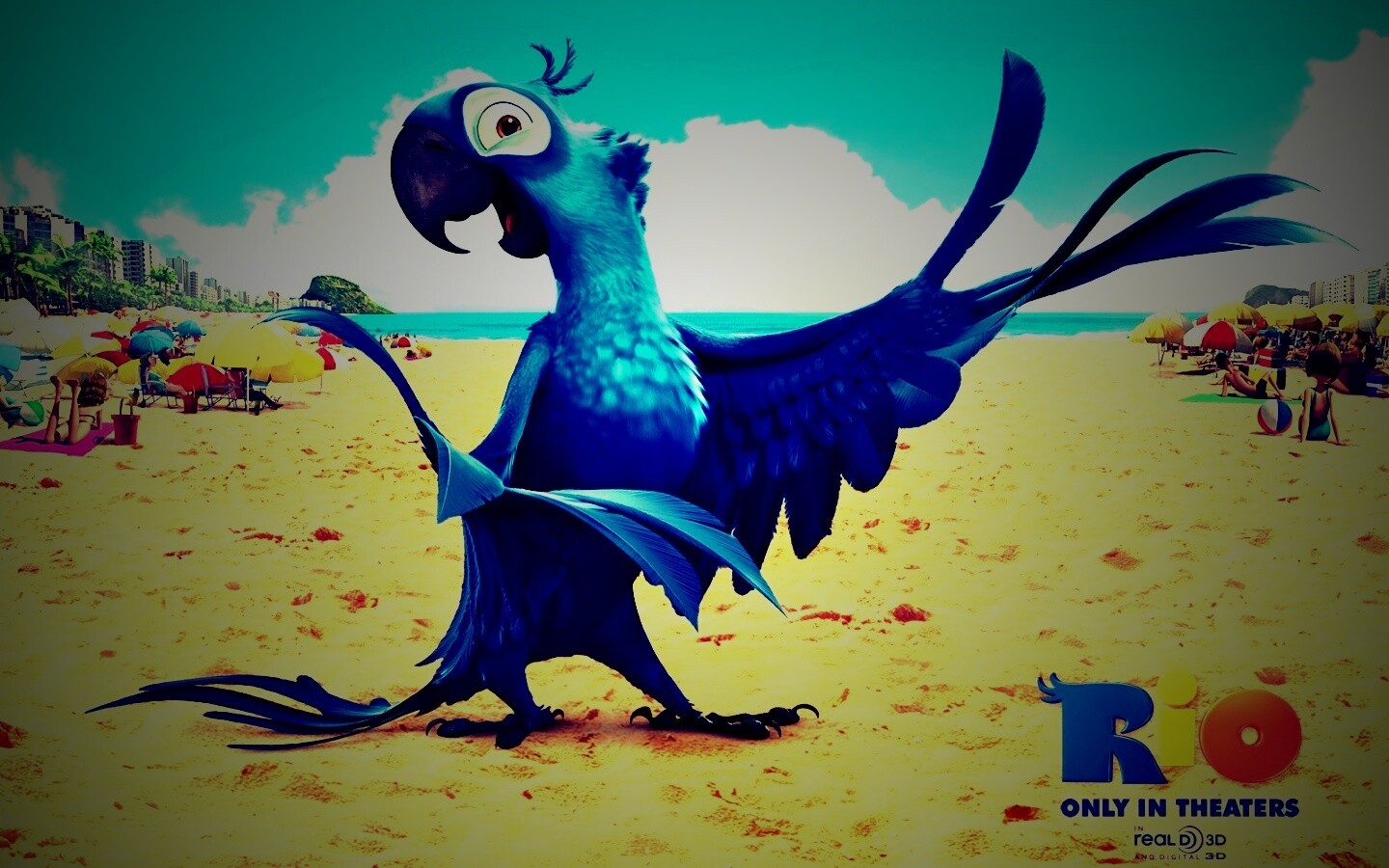 Blu из Rio обои