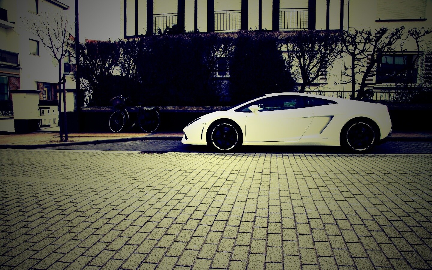 Белый Lamborghini обои