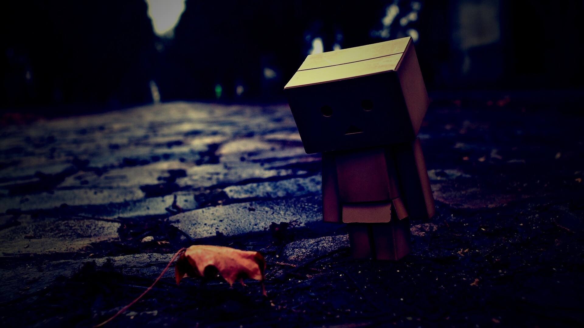 Danbo и первый осенний лист обои