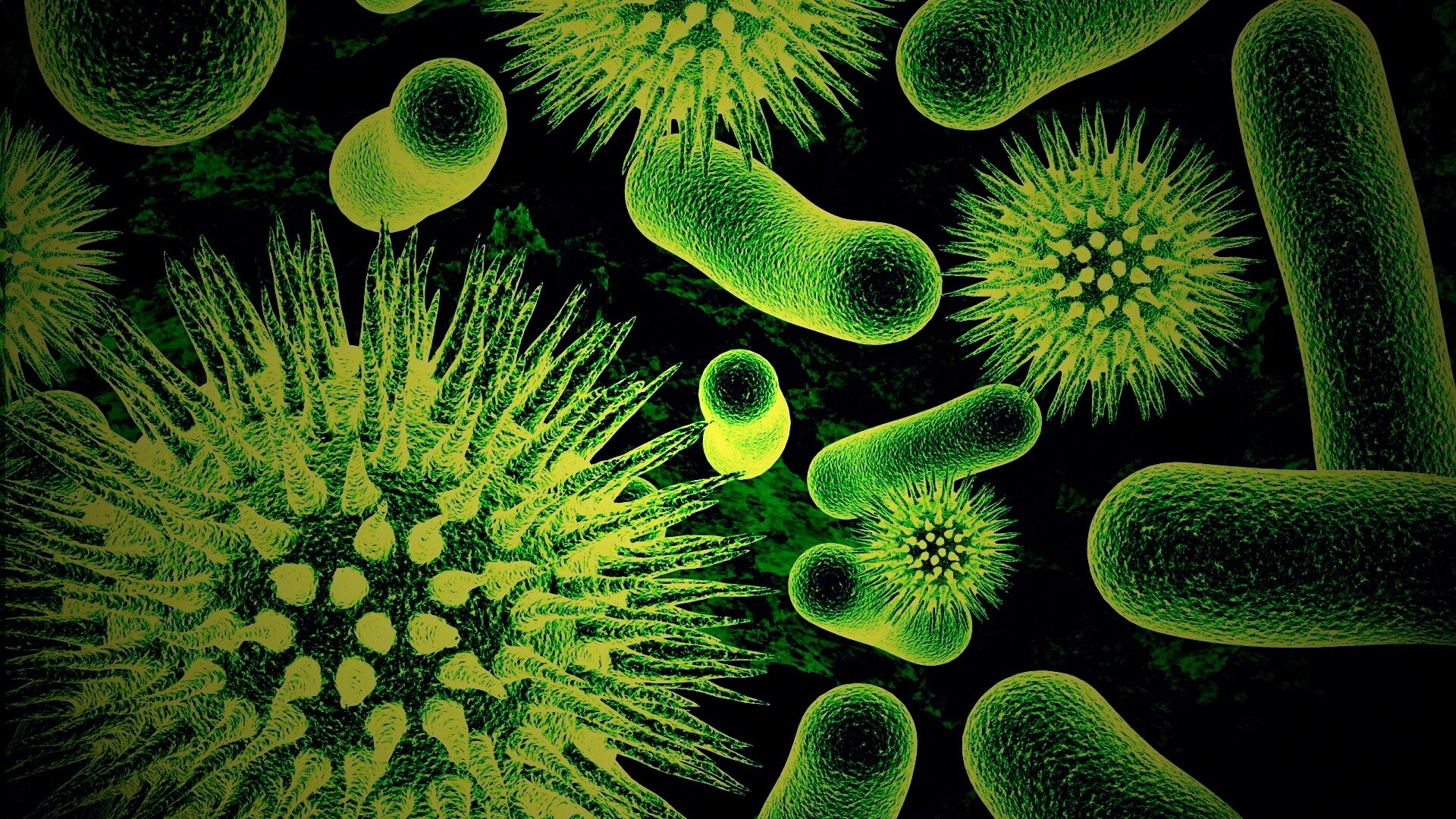 Вирусы бактерии микроорганизмы