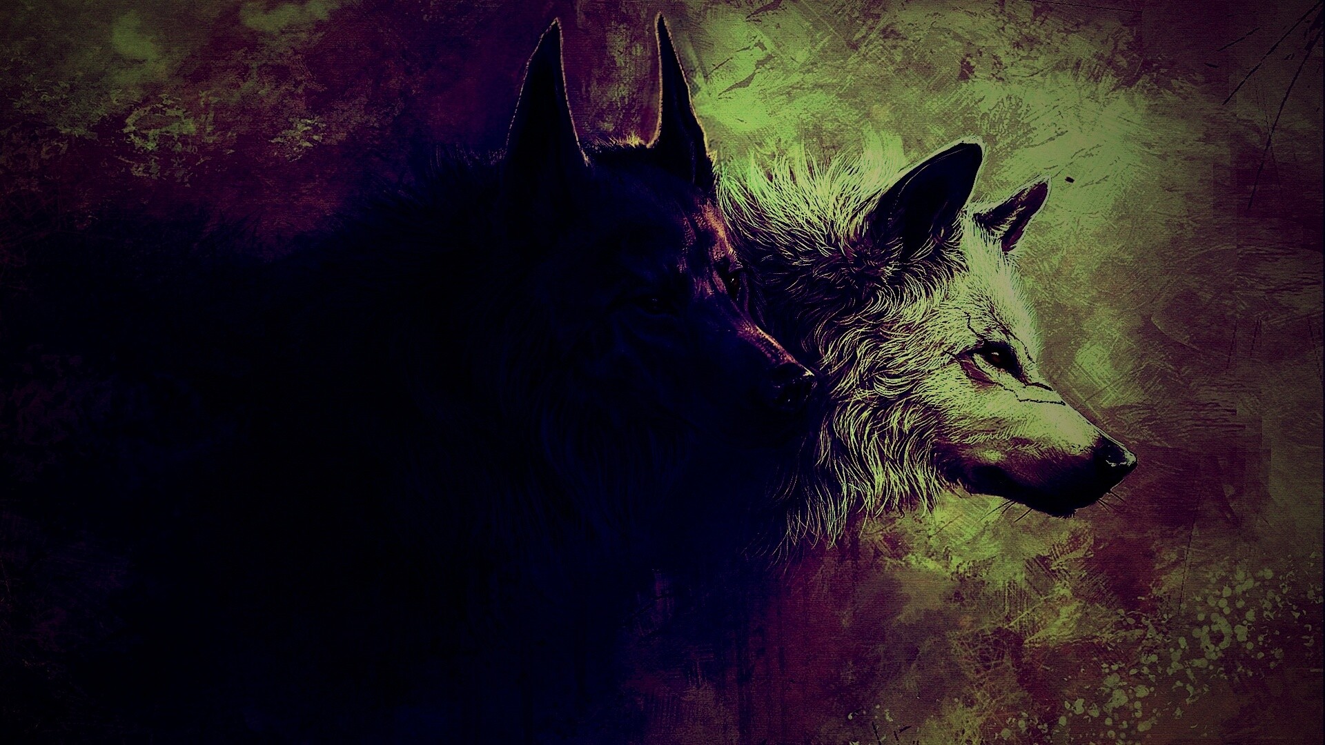 Волки обои. 