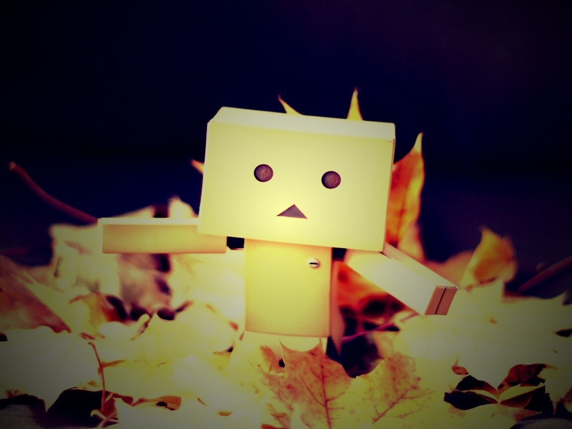  Yotsubato Danbo резвится листьях обои