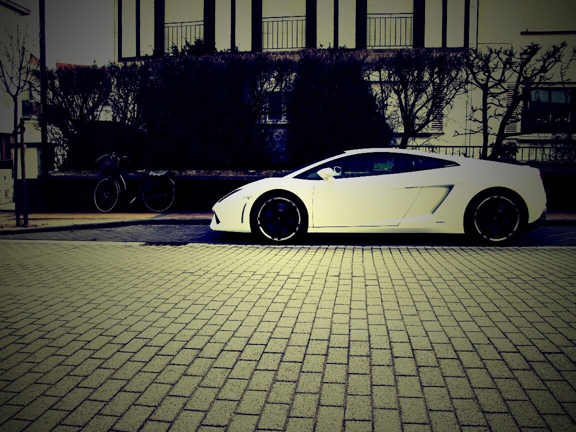 Белый Lamborghini обои