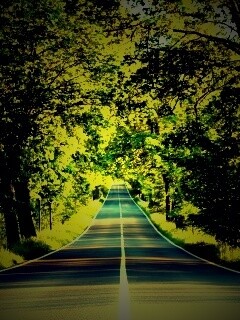 Под горку и в лес обои