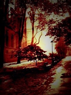 Аллея у здания обои