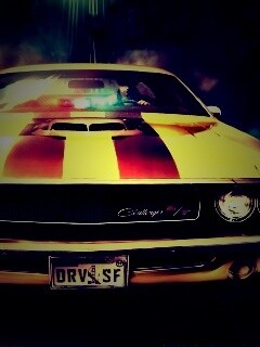 Driver San Francisco Challenger обои
