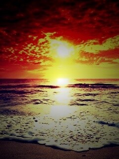 Берег моря в лучах заката обои