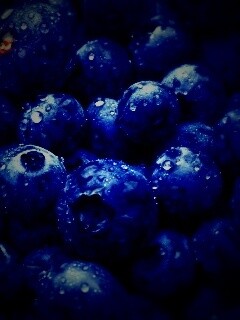 Свежая черника обои