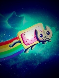 Nyan cat обои