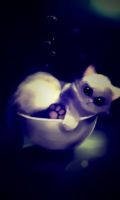 Котёнок в миске обои