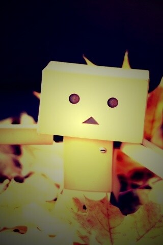 Yotsubato Danbo резвится листьях обои