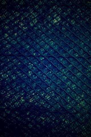 Сеть обои