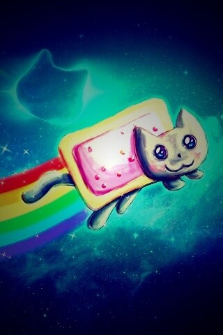 Nyan cat обои