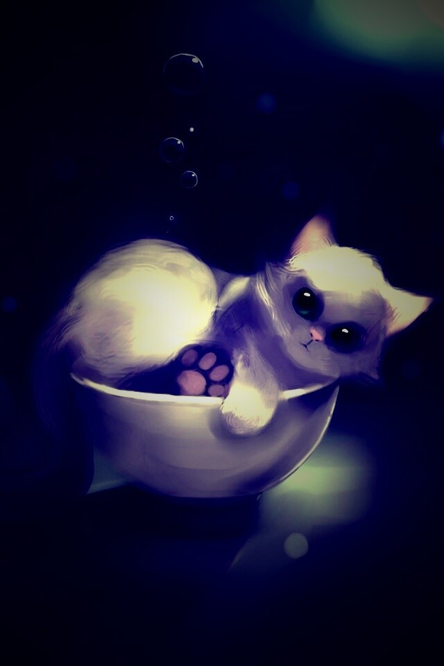 Котёнок в миске обои