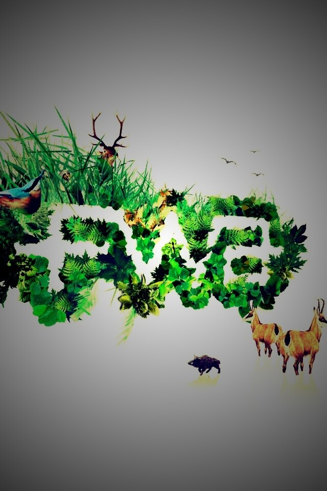 FWA обои