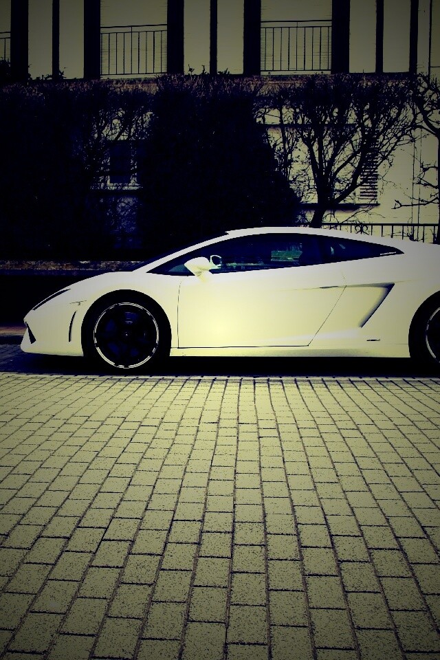 Белый Lamborghini обои