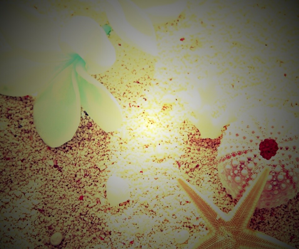 Пляж обои