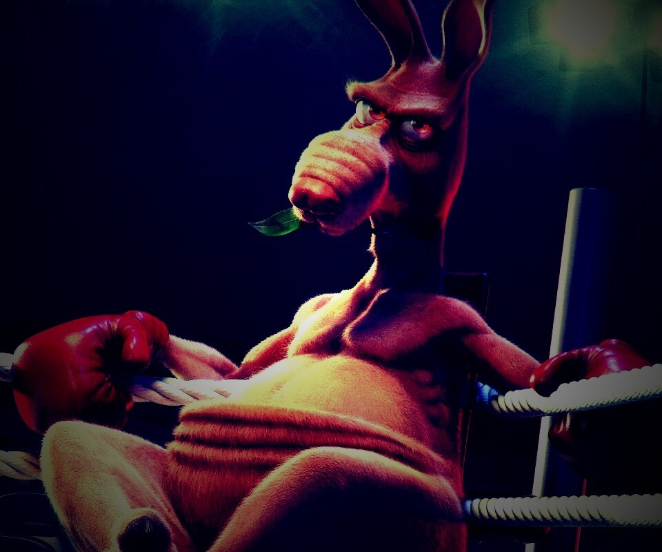 Кенгуру-боксер на ринге обои