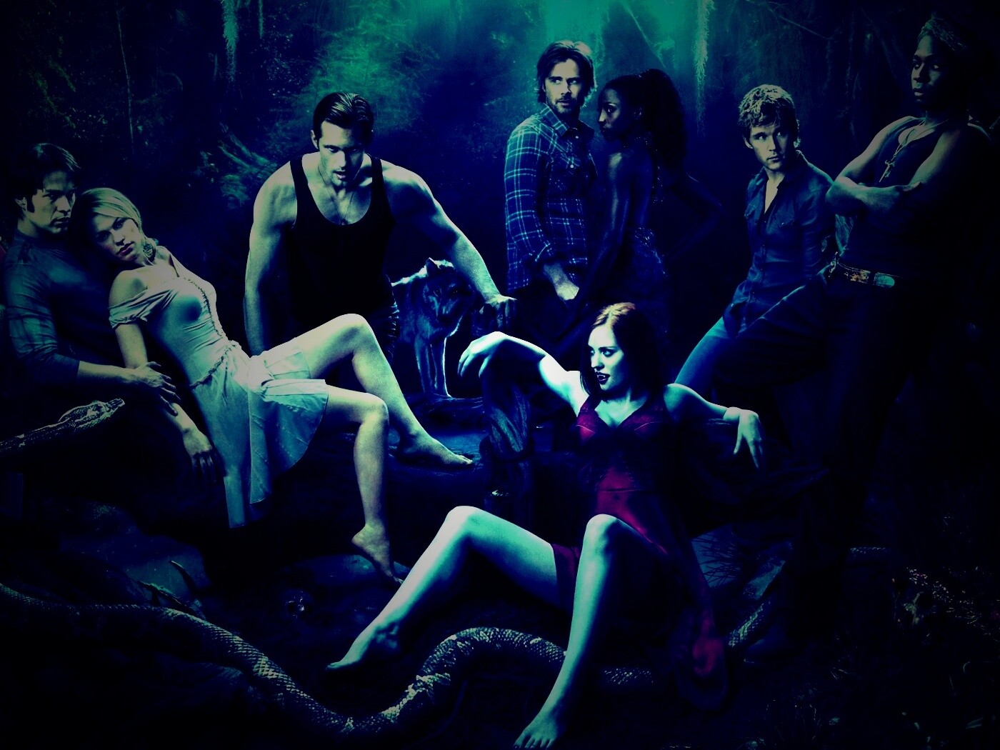 True blood обои