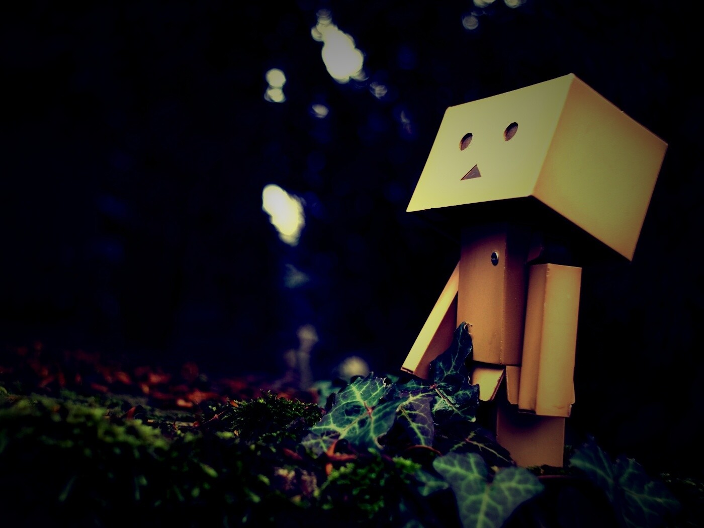 Danbo смотрит вверх обои
