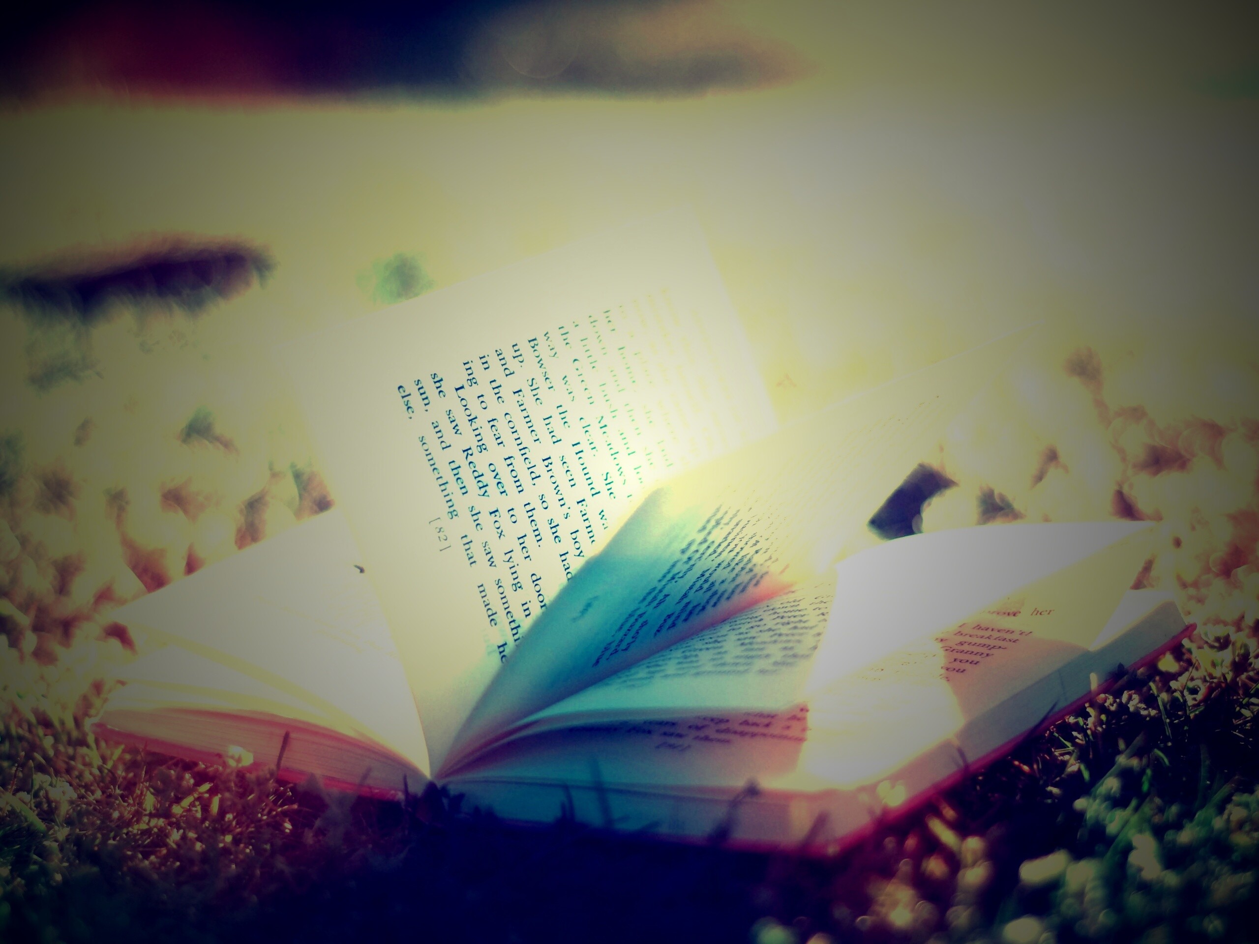 Книга в нежном свете обои