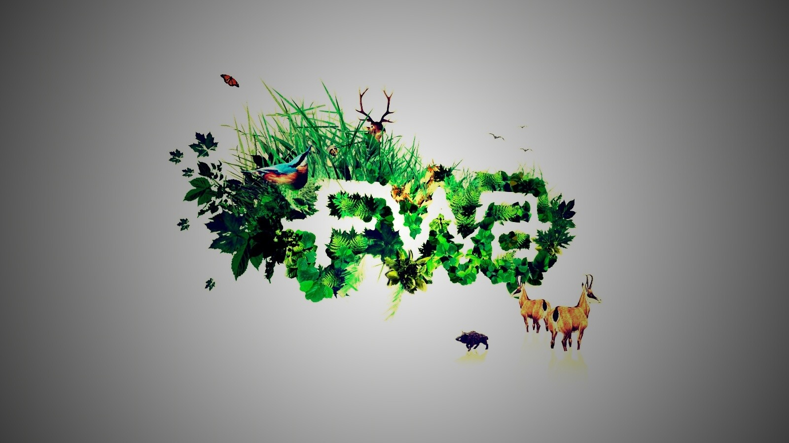 FWA обои