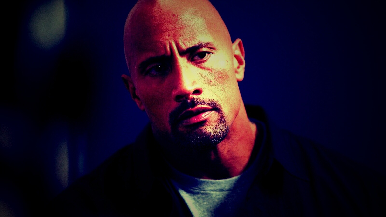 Dwayne johnson, Actor, Bald, Hair, Celebrity обои