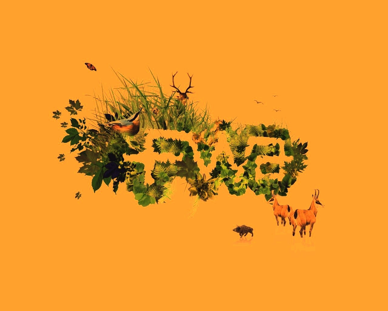 FWA обои