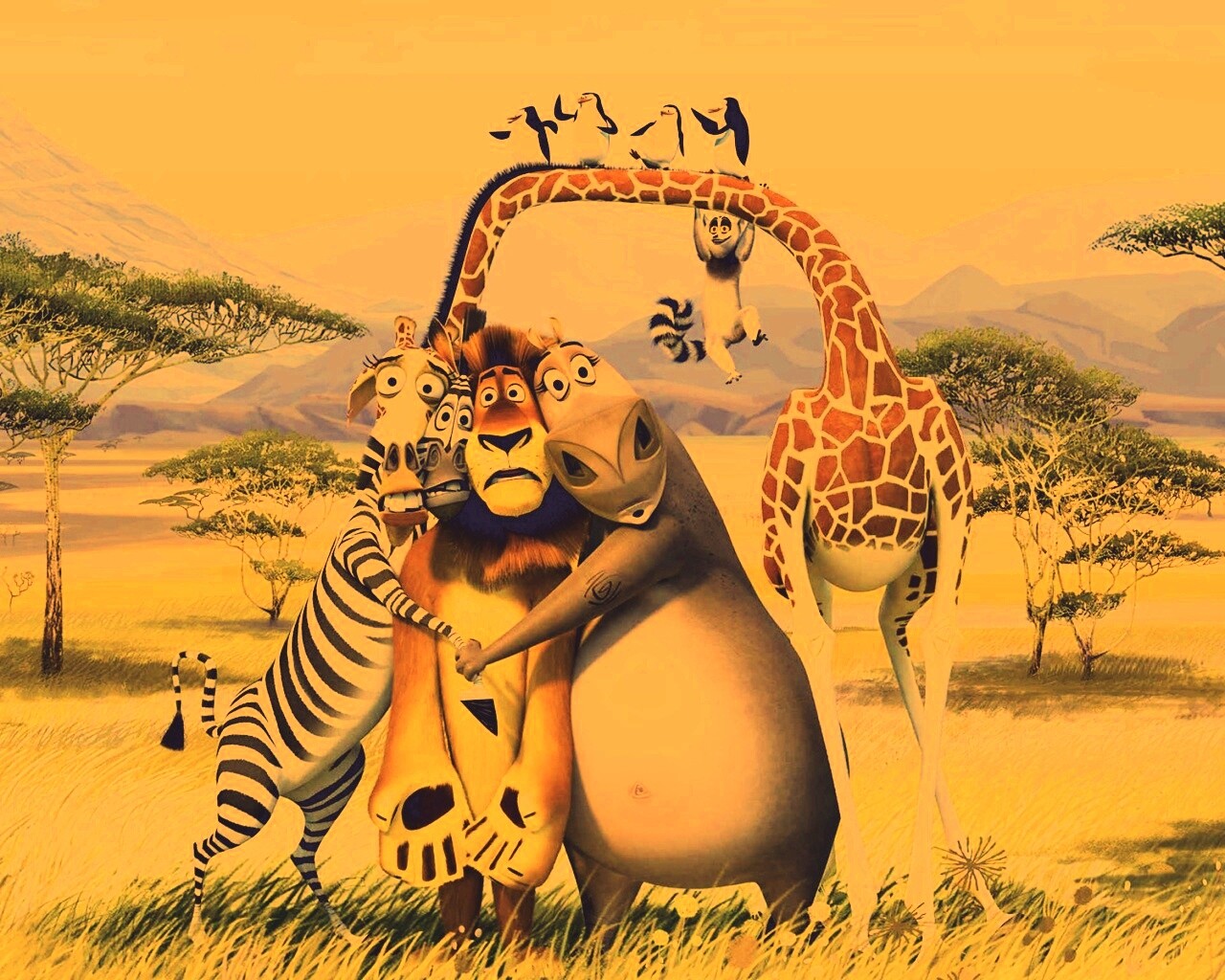Герои мультфильма Мадагаскар обои