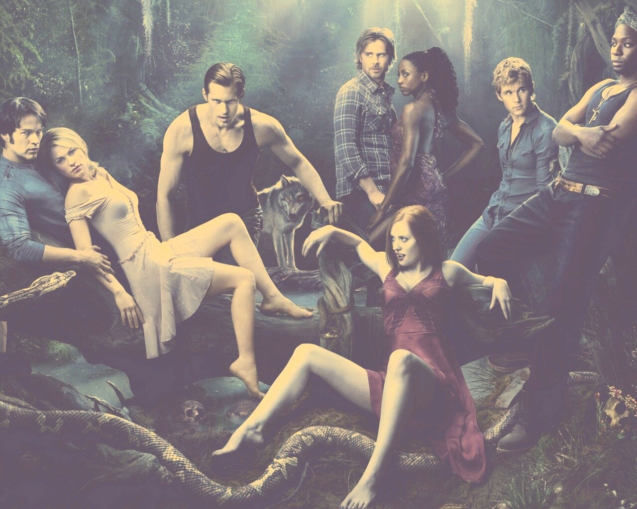 True blood обои