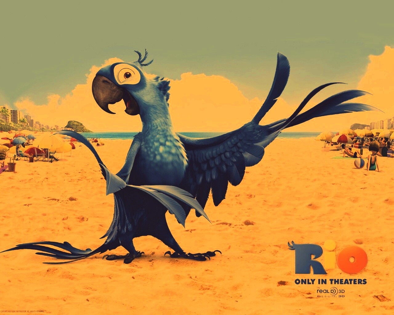 Blu из Rio обои