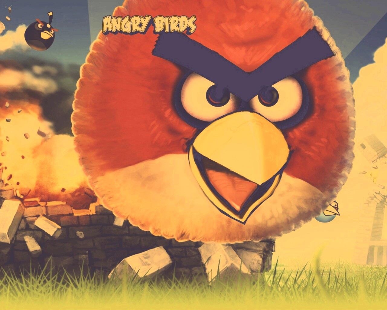 Angry Birds обои