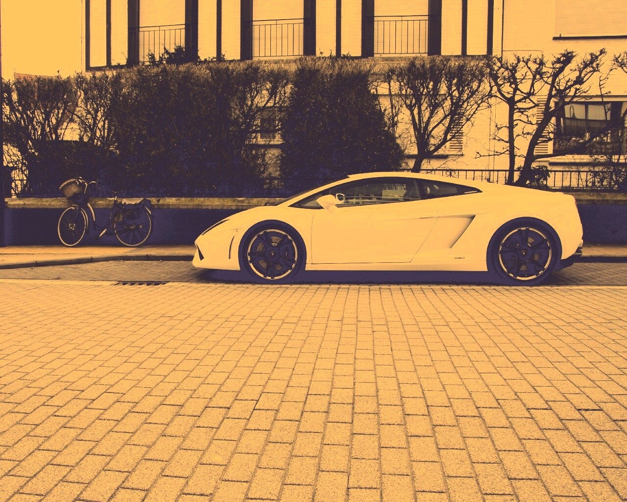 Белый Lamborghini обои