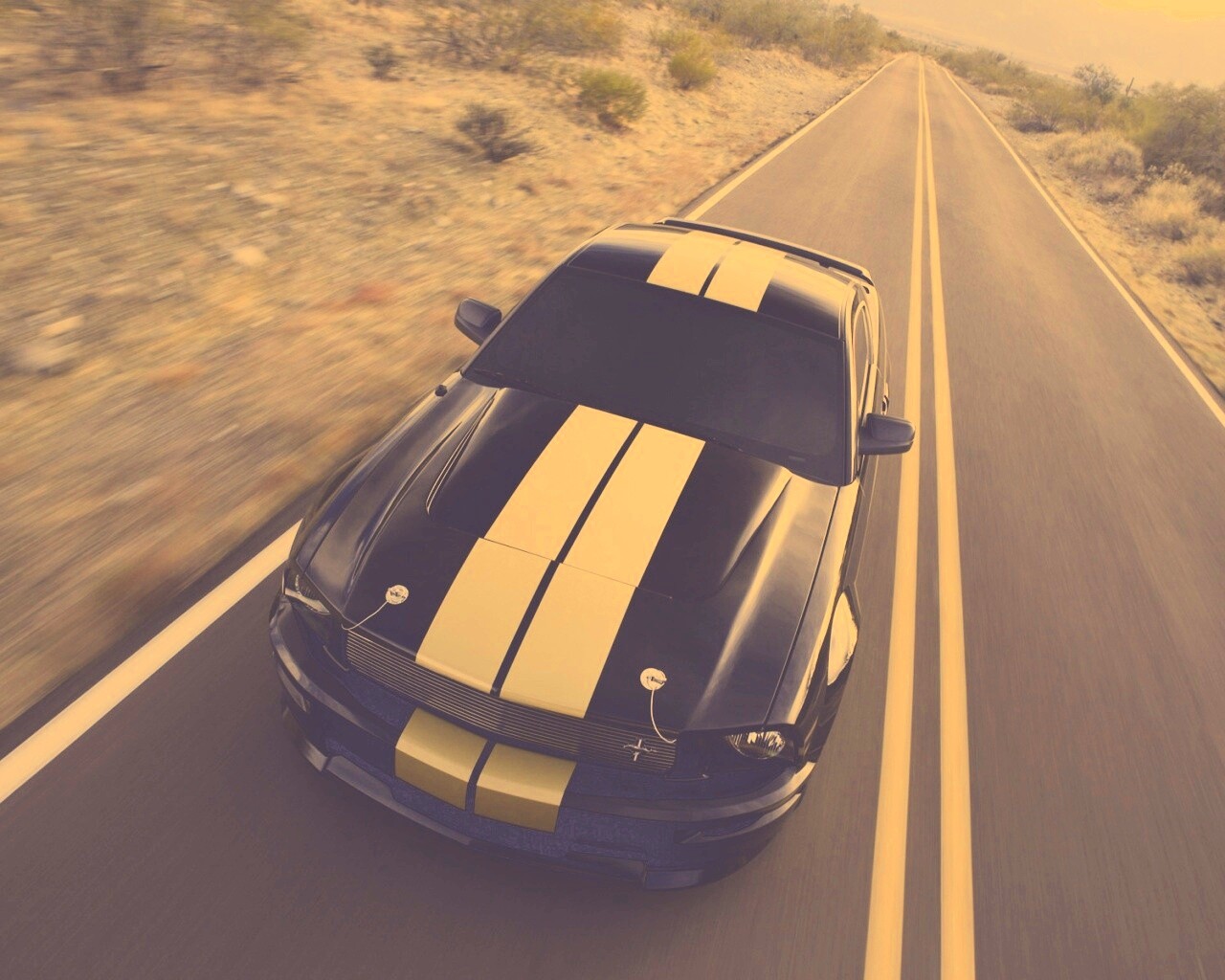 Ford Mustang  с гоночными полосками обои