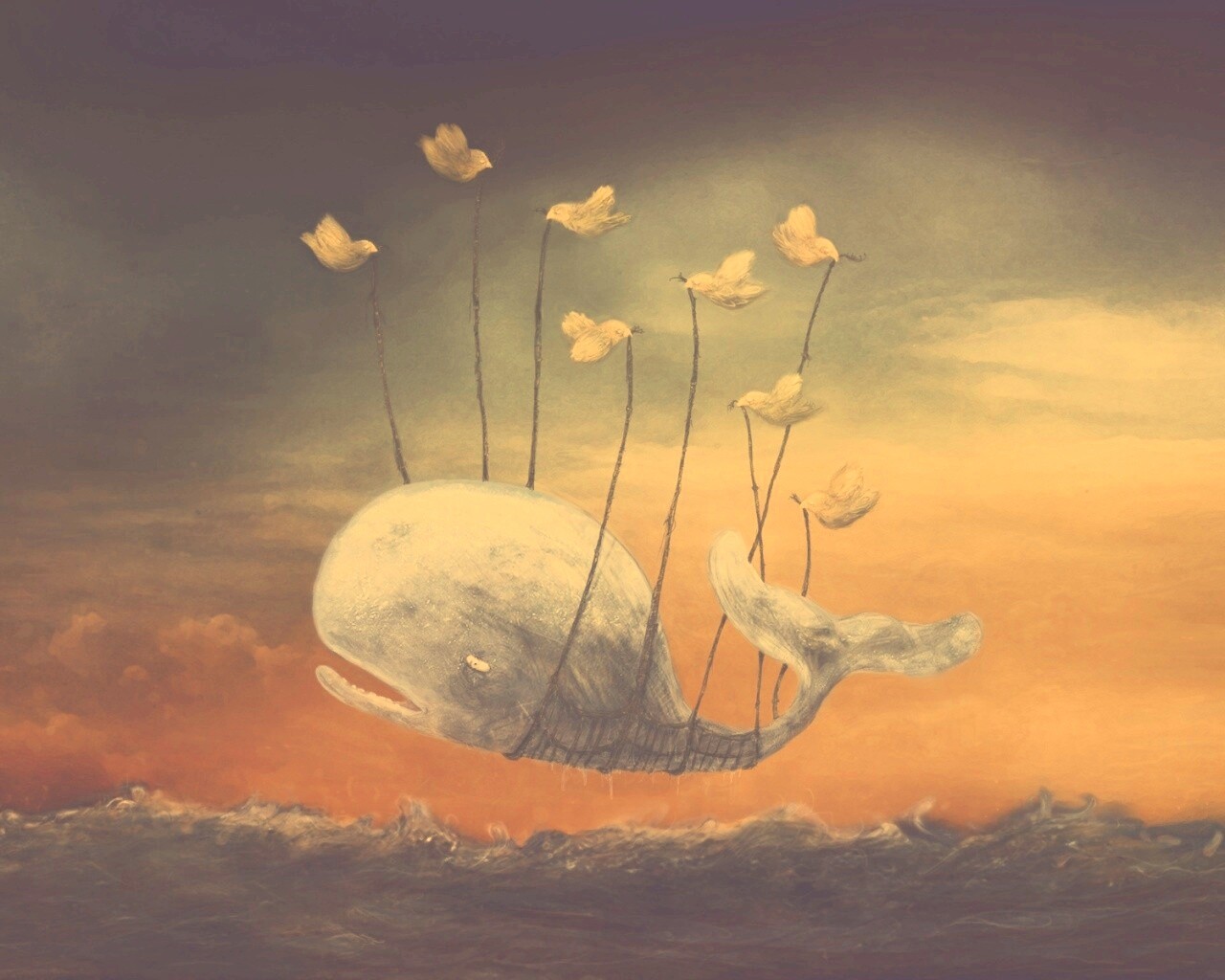 Twitter Fail-Whale обои