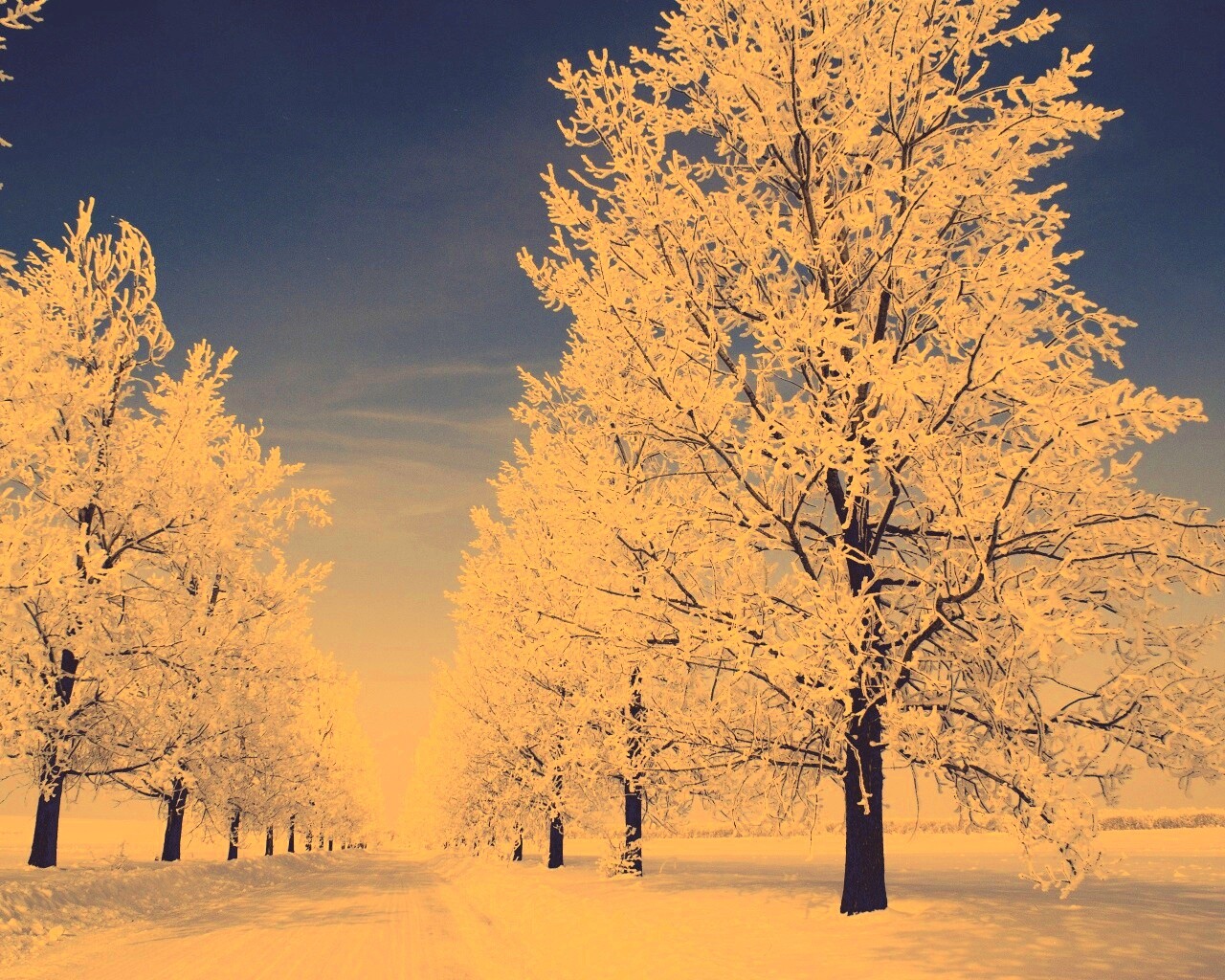 Снежная долина обои