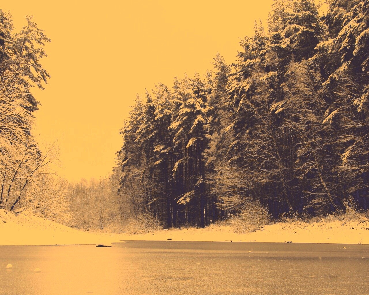 Зимняя дорога обои