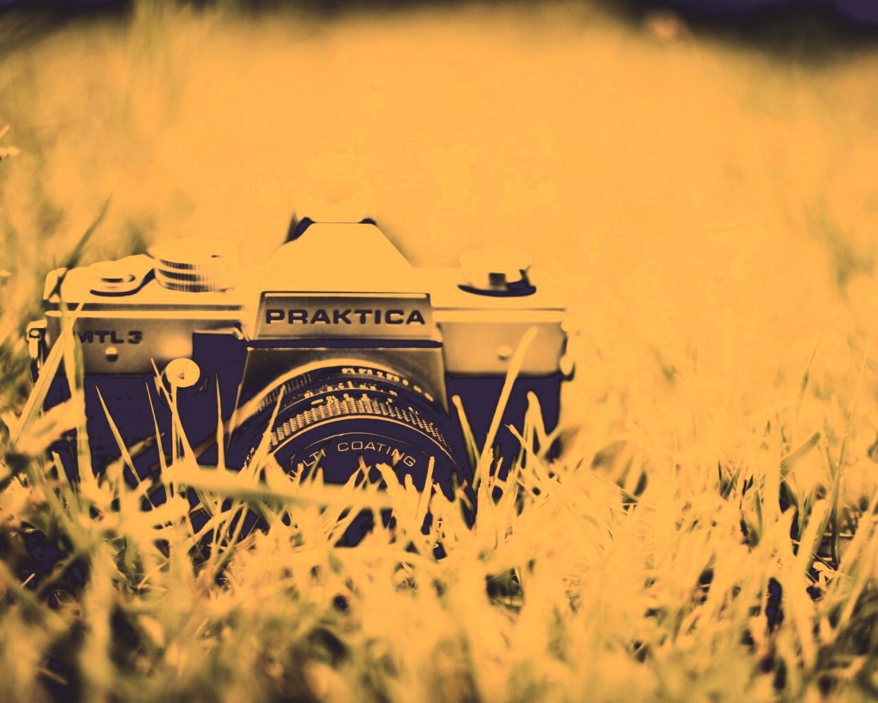 Фотоаппарат Praktica в траве обои