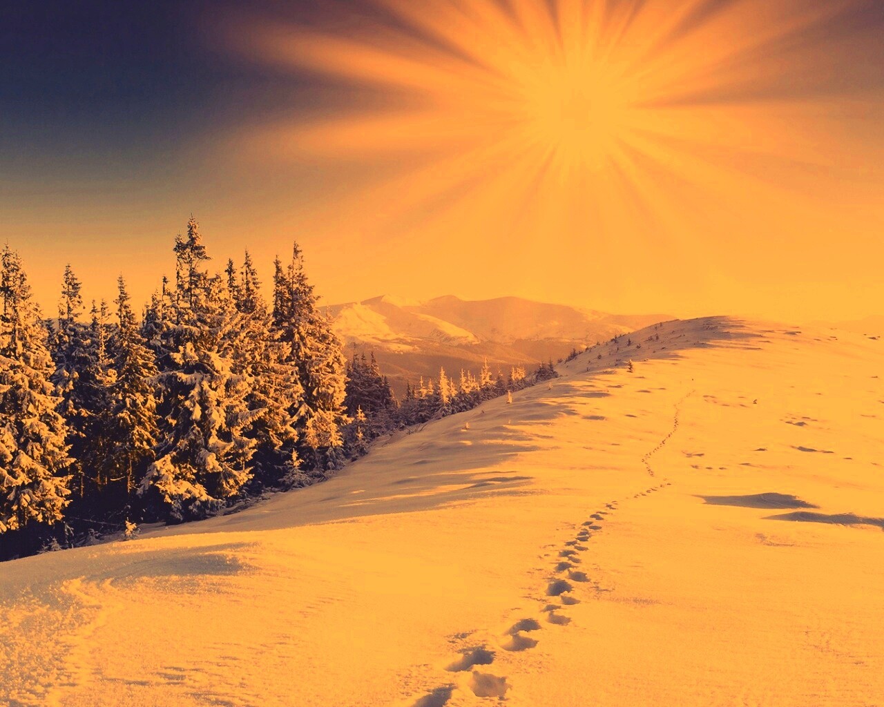 Красивый Солнечный зимний пейзаж