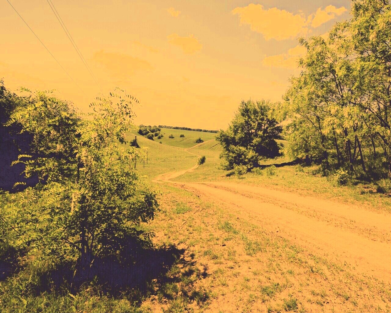Просёлочная дорога обои