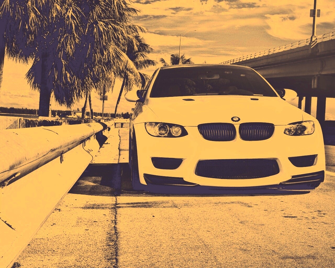 BMW в тропиках обои