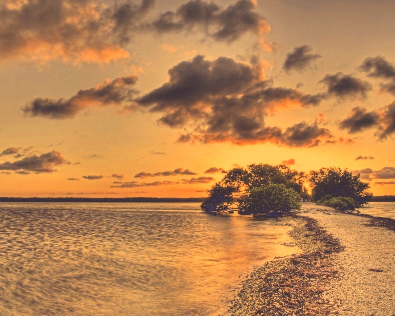 Побережье на закате обои