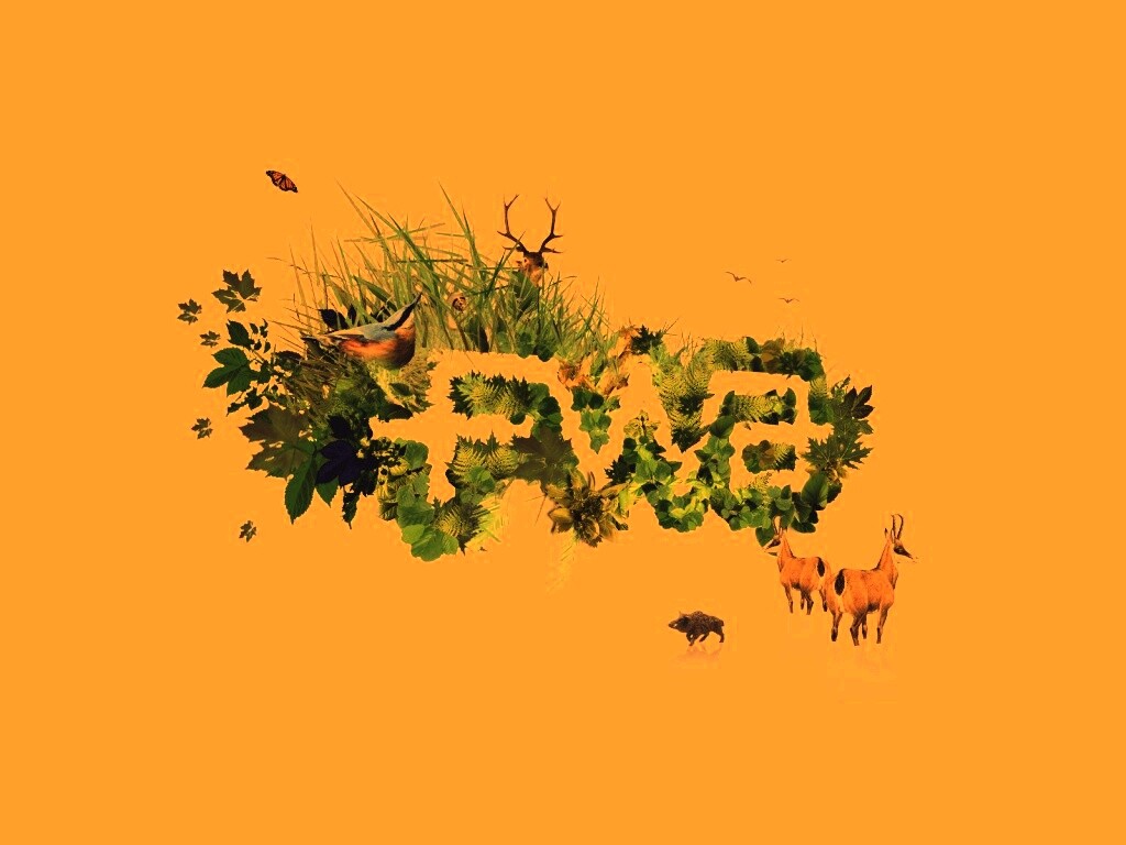 FWA обои